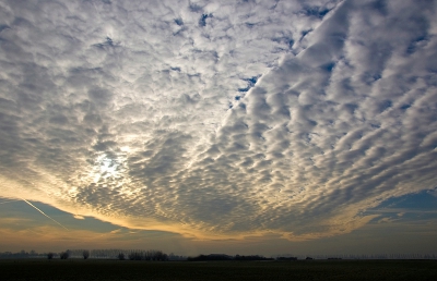 Windstil , ......nachtvorst , ...strakblauwe lucht en een mooie mist deken over de weilanden , helaas was ik hier telaat voor door omstandigheden  , maar toen de lucht veranderde naar een ander weertype , kon ik dit wel vastleggen .