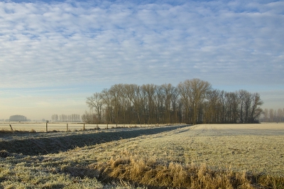 Heldere nacht met vorst 's morgens alles wit en goed koud op de vlakte