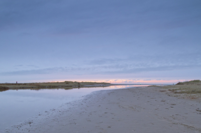 Kwade Hoek vind ik een prachtige plaats voor zowel landschaps- als vogel/natuurfotografie. De wilde natuur kan hier gewoon zijn gang gaan, en dat geeft mijns inzien veel mogelijkheden.