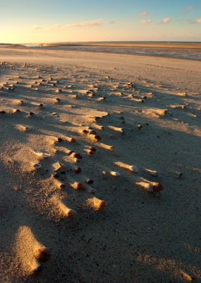 Opnieuw bewerkte versie van het schelpenlandschap, gemaakt in Zuidwest Zeeland.

Een mooie zonnige dag in Zuidwest Zeeland, op het strand in de buurt van natuurgebied Oranjezon.