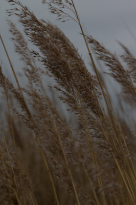 Bewolkt ongeveer een uur voor doorkomen van de zon