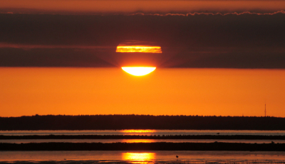 Mijn eerste foto hier op Nederpix. Ben al een tijdje bezig op birdpix, keek hier altijd al vaak mee. Nu toch maar eens geregistreerd. Deze foto heb ik afgelopen jaar kunnen maken op de pier van Holwerd.