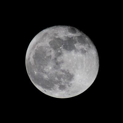 Vorig jaar heb ik mijn mijn oude lens, de sigma 50-500 deze opname kunnen maken. Heb inmiddels de canon 300mm f4.. misschien toch hiermee ook eens proberen. 
Ben benieuwd wat jullie hiervan vinden.