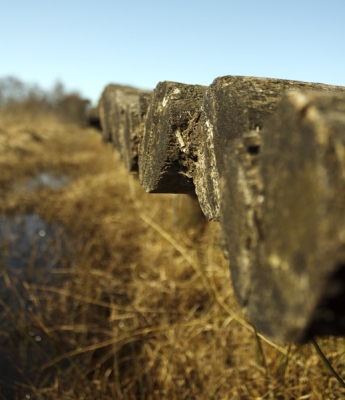 Tijdens de fotoworkshop De Groote Peel kom je veel "Knuppelbruggen" tegen. De foto heb ik liggend op mijn buik en hangend over de rand gemaakt.
