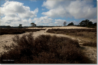 Genomen op een halfbewolkte dag tijdens een fotoworkshop. Foto uit de hand genomen.