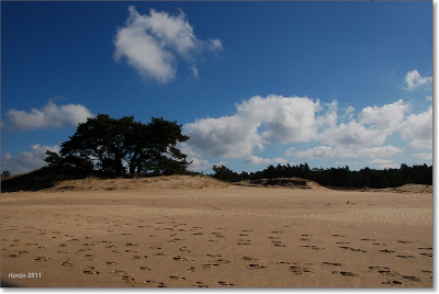 tijdens het wandelen veranderde steeds de afstand en daardoor het landschap weidser. wat een mooie sfeer weergeeft