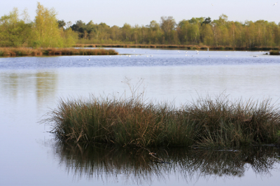 Uit de hand genomen met 100 mm. Voorgrond iets tegengehouden en iets verscherpt.