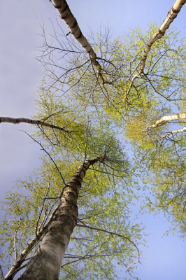 Foto gemaakt plat op mijn rug met groothoeklens en Cockin gradi�ntfilter.