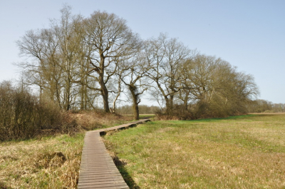 Workshop Landschapsfotografie van Natuurfotoworkshop.nl waaraan ik deelnam leverde o.a. dit plaatje op, een heidelandschap in Drenthe, nabij de Drentse Aa.