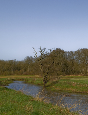 Gemaakt rond 10.30 uur, zonnetje breekt door.
Weinig vertekening in de lucht, dus geen mooie wolken.