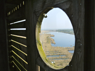 Tijdens de fotoworkshop de uitkijktoren beklommen, wat een leuk plaatje al gaf voordat we boven waren. Nu met de brand op het Fochteloerveen, dit plaatje op Nederpix