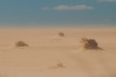 Tijdens weer een bezoek aan de Hoge Veluwe ben ik ook weer de zandverstuiving op gelopen. Dankzij de wind was het zand goed aan het stuiven. Camera bescherming dus maar uit de tas en mezelf ook zo goed mogelijk ingepakt. Ondanks dat zag ik weinig door het vele zand dat in mijn ogen kwam. Mijn camera hield het goed en met wat moeite deze foto kunnen maken van het stuivende zand.