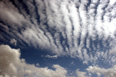 De lucht zat weer vol verrassingen. Pijn in mijn nek gekregen van het naar boven kijken en knippen.