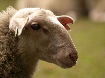 Foto gemaakt tijdens een workshop op de Posbank met bewolkt weer.