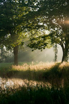 's morgens om 6.30 uur. De dag ervoor had het wat geregend en het zou mooi weer worden! Een uitgesproken morgen voor mooie sfeerbeelden