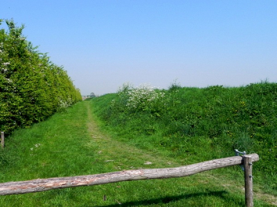 na een bezoek aan natuurgebied de blikken 
viel mijn oog op dit mooie uitzicht, mooie kleuern van de natuur en de bloeiende meidoorns.
net begonnen met fotografie van natuur en landschappen, dus als jullie nog tips of trukjes hebben, zijn die van harte welkom.
