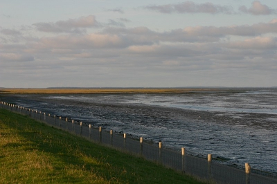<i class='fa fa-user'></i> Art | Laag water op de waddenzee  <i class='fa fa-eye'> 287</i>   <i class='fa fa-comment-o'> 2</i>