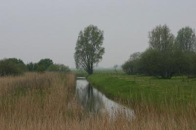 <i class='fa fa-user'></i> Art | uitzicht over de Kollumerwaard  <i class='fa fa-eye'> 401</i>   <i class='fa fa-comment-o'> 2</i>