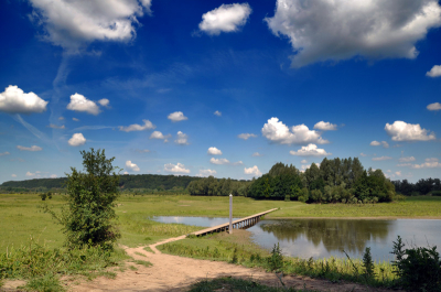 Geschoten met zonnig weer, laag standpunt gekozen mede doordat ik vanaf een heuveltje fotografeerde kwam dit mooier uit.