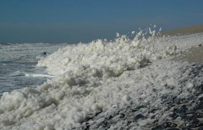 <i class='fa fa-user'></i> dremelink | Schuim op het strand  <i class='fa fa-eye'> 180</i>   <i class='fa fa-comment-o'> 3</i>