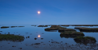 Foto gemaakt bij maanlicht vanaf de dijk aan de waddenkust bij Formerum (Terschelling). Witte puntjes op rechterkant van foto zijn lepelaars....(maar bijna niet als zodanig te herkennen dus kan best geplaatst worden toch?).