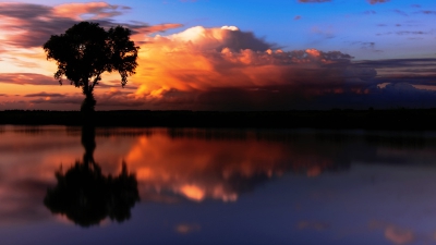 Gisteren waren er weer prachtige wolken en had ik even tijd om de polder in te gaan...ooit..als ik er eens aan denk..neem ik eerst Allerfree in;-)