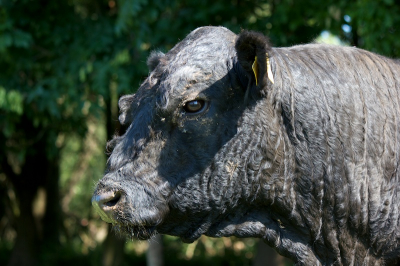 Zonnig met af en toe wolken. Foto gemaakt tijdens de natuurworkshop.