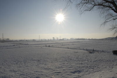 Deze foto werd genomen tijdens een sneeuwwandeling langs het kanaal Brugge - Oostende. Windstil, een blauwe lucht en stil! Om van te genieten!!