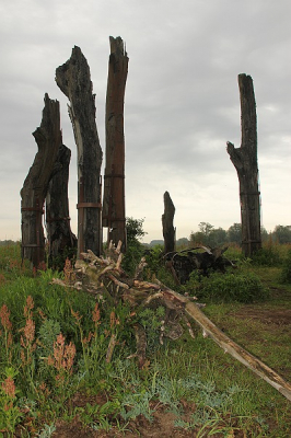 Regenachtige dag, weining spannends in de lucht, flits