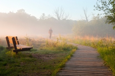 'Beleef het Paradijs'

Foto 2: Knuppelbrug

Hier lopen we over een 176 meter lange Knuppelbrug. Deze lage brug is in het jaar 2000 door natuurorganisatie Geldersch Landschap aangelegd zodat we met droge voeten door het moeras kunnen lopen.