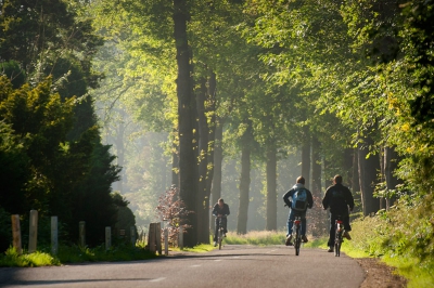 'Beleef het Paradijs'

Foto 6: Kallenbroekerweg

De Kallenbroekerweg ligt dwars door het natuurgebied en loopt van Barneveld richting Terschuur.