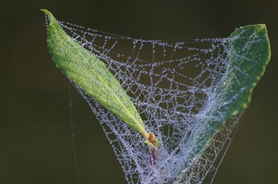 <i class='fa fa-user'></i>&nbsp;Tom&nbsp;| Dauwweb&nbsp; <i class='fa fa-eye'>&nbsp;123</i> &nbsp; <i class='fa fa-comment-o'>&nbsp;0</i>