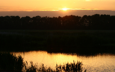 deze had ik nog van een week geleden .
even tegen de avond zon snel met de spullen even naar de polder 
krijg daar geen genoeg van