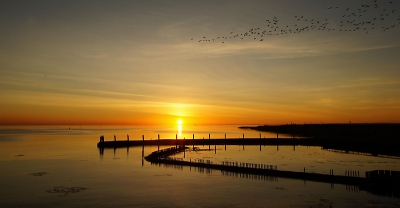 'n Mooie winteravond aan de Oosterschelde. Vlak voor zonsondergang gaan er vaak nog heel wat vogels even op de wieken...