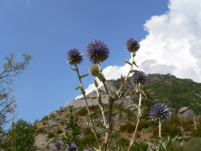 Mooie zomerse dag,weinig bewolking wandelend door de prachtige omgeving de Drme