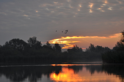 Vanuit kano gefotografeerd in de Brabantse Biesbosch