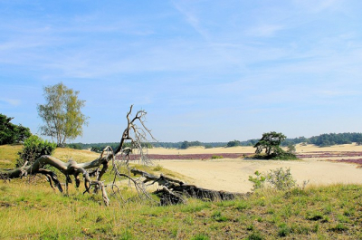 1/90s, f/22, ISO 200, Focuslengte 18mm
Zonnige dag, vanaf een heuvel genomen zittend op mijn knieen