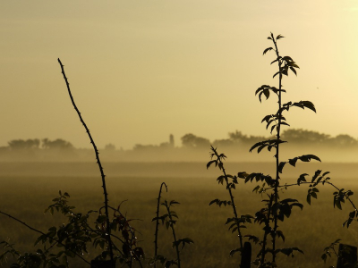 Voordat we vertrokken van de camping konden we van dit uitzicht genieten...