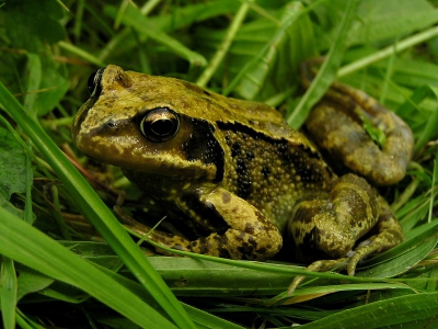 Een oude foto van mij. Dit is n van mijn eerste natuurfoto's die ik gemaakt heb. Zelf vind ik hem nog steeds een mooie foto.
