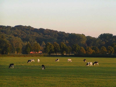 <i class='fa fa-user'></i> huub machiels | Limburgs landschap  <i class='fa fa-eye'> 861</i>   <i class='fa fa-comment-o'> 5</i>