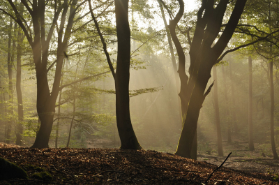 9uur 's ochtends met volle laagstaande ochtendzon voor 1e opdracht > Een half uur verblijven op 1m2.