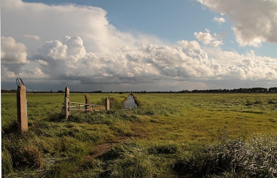 Afgelopen weekend waren er prachtige luchten te zien. Dit gecombineerd met de wijdsheid van de polder levert mooie beelden op.