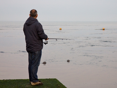 Met verbazing heb ik op de brouwersdam staan kijken hoe de vissers de zeehonden ontweken en vice versa want er beet geen Zeehond in de haken (in iig niet waar ik bij stond).