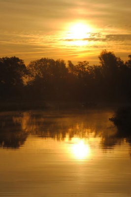 's Ochtends vroeg, in de Biesbosch tijdens mijn vakantie.
Hoorde in alle stilte deze onbekenden aankomen welke op hun beurt weer omdraaiden nadat ze mij gezien hadden.