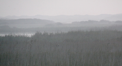 Vanaf de dijk die langs de Kroonpolders loopt. De avond viel in en ik heb de foto met tegenlicht genomen.