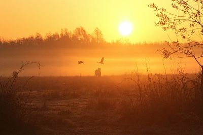 S'morgensvroeg goed op tijd op de geschikte plaats voor een mooie zonsopgang.