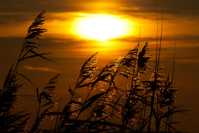 Had gerekend op een mooie zonsondergang die dag maar viel eerlijk gezegd wel wat tegen. Maar kon toch nog wel wat leuke plaatjes schieten, waarvan dit er eentje is.