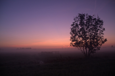 Vroeg in de ochtend meerdere foto's gemaakt in dit mooie polderlandschap vol met molens. Dit is n van e resultaten.