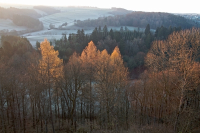 Het berijpte heuvellandschap in vroege ochtend met wat verlate herfstkleuren, gaven een prachtig beeld van de Eifel in deze tijd.
Opname uit de hand genomen met een 18//55 mm lens uit het slaapkamerraam van een pensionnetje waar we een paar dagen verbleven.