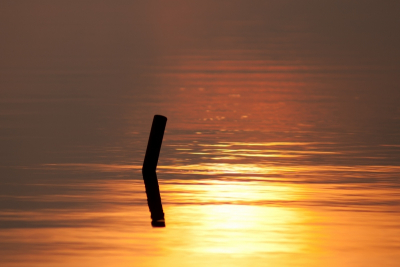 Zaterdag een prachtige zonsondergang mogen beleven bij het Lauwersmeer.
Hoe mooi kan eenvoud zijn.